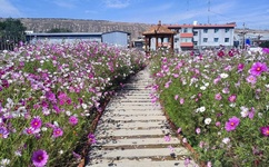 四虎影视2019最新址